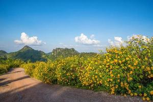 paisaje tailandia hermoso paisaje de montaña vista en la colina foto