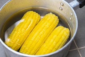 steamed or boiled sweet corn cooked in hot pot , ripe corn cobs sweetcorn for food photo