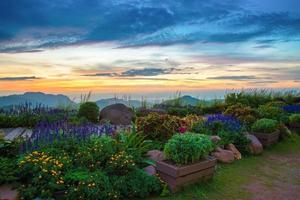 el jardín colorido camino de plantas y flores en la mañana amanecer hermoso foto