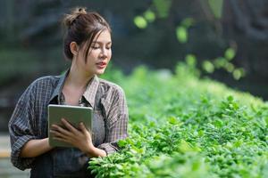 A beautiful farmer works on flowers in a greenhouse and takes notes on tablet. Spring and summer. Small floral business concept. photo