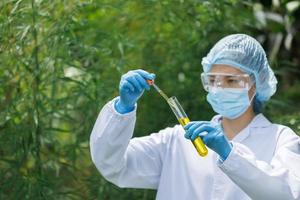 Hemp oil research, Researcher holding a dropper with hemp oil product. CBD cannabis oil. medical marijuana concept. photo