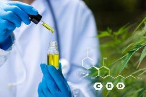 elementos de cbd en cannabis, extracto de cannabis de aceite de cbd, investigación de extractos de aceite de cáñamo con fines médicos. foto