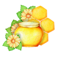 bocal en verre rond avec du miel, des fleurs de calendula orange vif, dessinées à la main avec des crayons de couleur, isolées sur fond blanc png