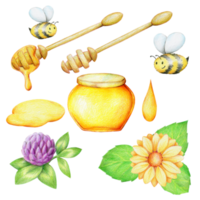 un insieme di icone della collezione miele, disegnate a mano, isolate su sfondo bianco png