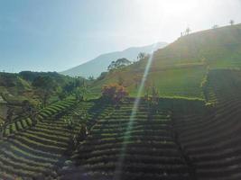 hermosa vista aérea de colinas agrícolas y turísticas, terasering panyaweuyan-majalengka, indonesia. foto