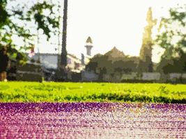 Art Abstract Pink yoga mat laid on green grass In the park in the evening there was a soft sunlight. The warm light tones are suitable for yoga exercises. photo