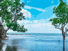 Art Abstract A view of trees on both sides of the water with the sea and the sky in the middle. photo