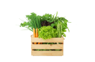 varias verduras orgánicas frescas en caja de madera sobre fondo transparente png