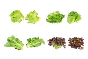 Group of various fresh organic salad vegetables on transparent background png