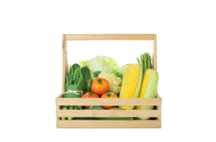 Various fresh organic vegetables in wooden basket on transparent background png
