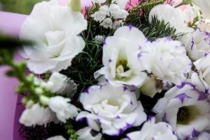 Festive white bouquet of flowers on a green background, a bouquet of pink color, background, flowers are white beautiful photo