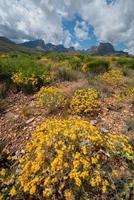 parque nacional big bend texas foto