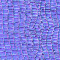 Normal map texture mapping Leather photo