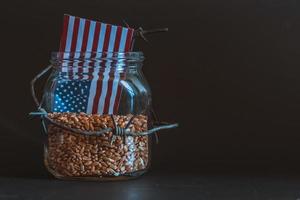 grano de trigo en un frasco alrededor de alambre de púas, el concepto de sanciones y la crisis en estados unidos, problemas con el grano de estados unidos, el bloqueo del grano de estados unidos. foto