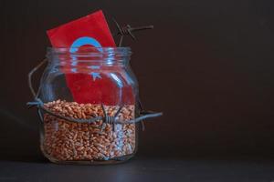 Wheat grain in a jar around barbed wire, the concept of sanctions and the crisis in turkey, Problems with turkey grain, the blockade of turkey grain. photo