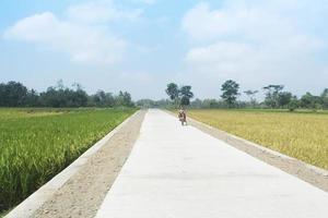 Bicycle trip through the road in the middle of the rice field. photo