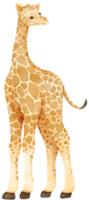ilustração de aquarela de animais de savana girafa png