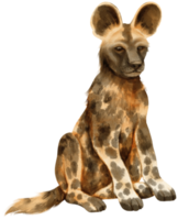 afrikanische wildhunde-savannentiere aquarellillustration