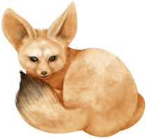 fennec raposa savana animais ilustração em aquarela png