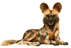 African wild dog savanna animals watercolor illustration