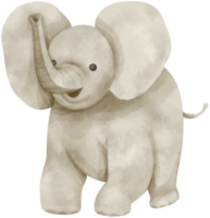 illustration aquarelle éléphant mignon png
