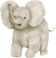 söt elefant akvarell illustration png