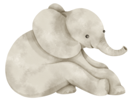 schattige olifant aquarel illustratie png