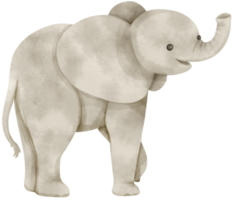 schattige olifant aquarel illustratie png