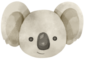 süßer aquarellkoala png