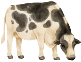 animali da fattoria dell'acquerello della mucca png