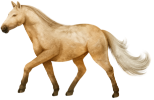 bruin paard aquarel illustratie png