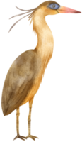 Watercolor whistling heron bird illustration png