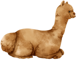 alpaca aquarela animais de fazenda png
