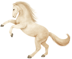 White Horse watercolor illustration png