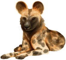 afrikansk vildhund savanna djur akvarellillustration png
