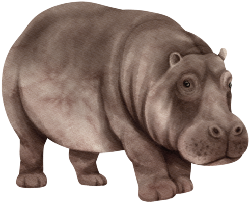 【物欲乃塊 】　WILDSWANS  LEAF  HIPPOPOTAMUS Hippopotamus | Weird n' Wild Creatures Wiki | Fandom