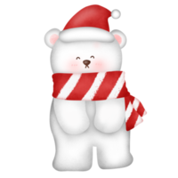 oso polar de navidad. png