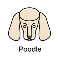 Poodle color icon. Isolated vector illustration