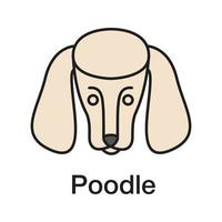 Poodle color icon. Isolated vector illustration