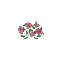 Hand Drawn Flower Free Vector png