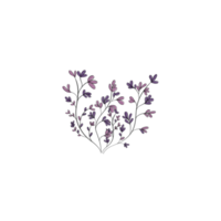 Pink and Purple Leaf Free Vector png