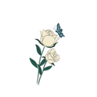 rose blanche avec papillon