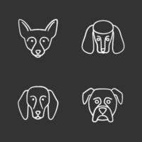 Dogs breeds chalk icons set. Chihuahua, poodle, beagle, boxer. Isolated vector chalkboard illustrations