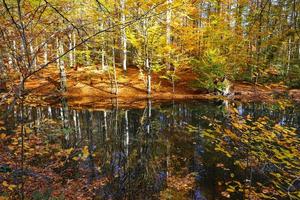 Sazli Lake in Yedigoller National Park, Bolu, Turkey photo