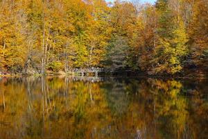 Buyuk Lake in Yedigoller National Park, Bolu, Turkey photo