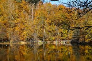 Buyuk Lake in Yedigoller National Park, Bolu, Turkey photo