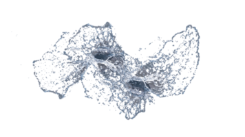 Water Splash with Droplets png