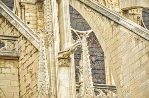 catedral de notre dame en parís foto