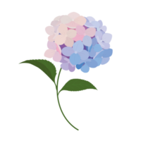 flower element cartoon in flat style png