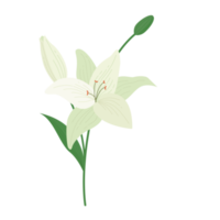 flower element cartoon in flat style png